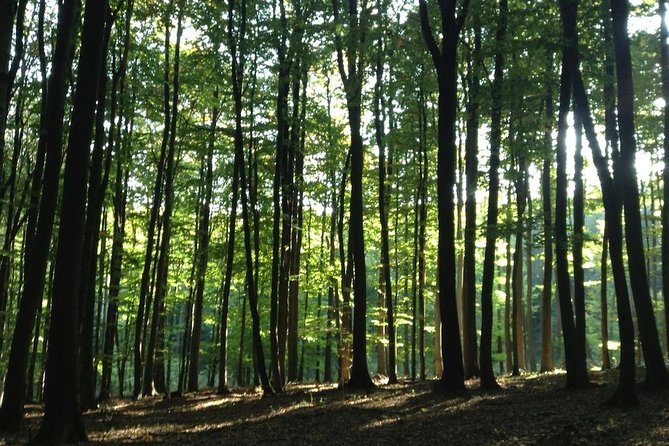 Hiking Tour in the Small Carpathians - in the Track of Forest People - Forest People Insights