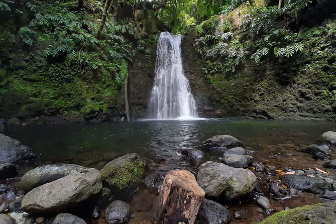 Hiking Tour Sanguinho Salto Do Prego Waterfall and Furnas - Reviews and Customer Feedback