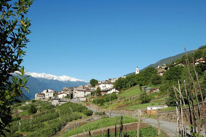 Historic Corners of Tirana - Guided Walking Tour - Tour Duration