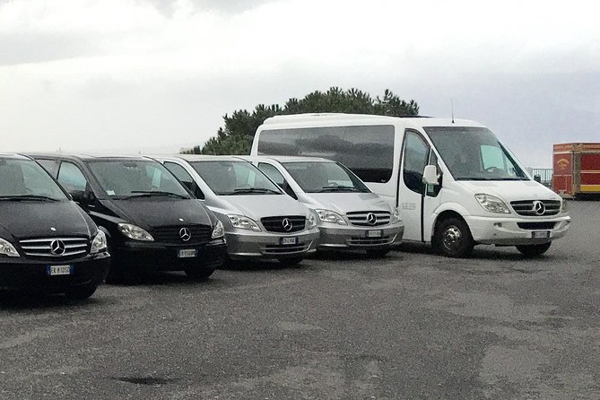 History and Wine - Private Car Service, Guided Tour of Pompeii and Wine Tasting - Exceptional Customer Support