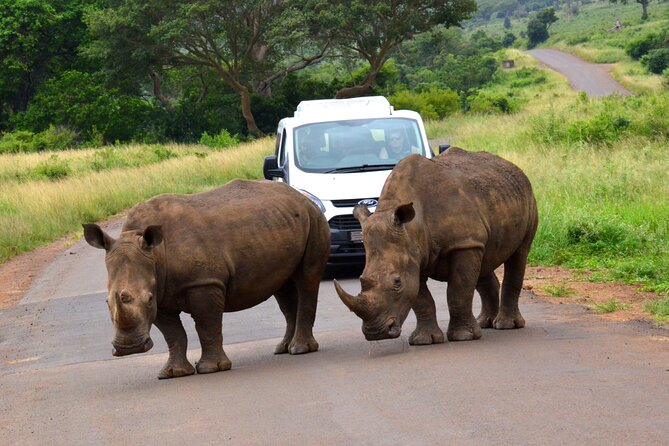 Hluhluwe Safari & Emdoneni Wild Cat Project Day Tour From Durban - Hluhluwe Imfolozi Game Reserve