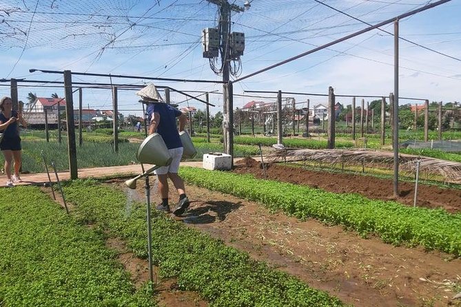 Hoi An Tra Que Vegetable Village & Cooking Class - Tips for Travelers