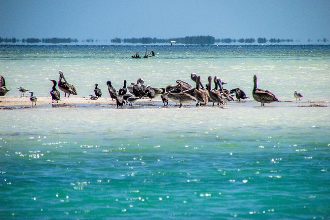Holbox Island Tour From Playa Del Carmen - Exploring Yalahau Cenote