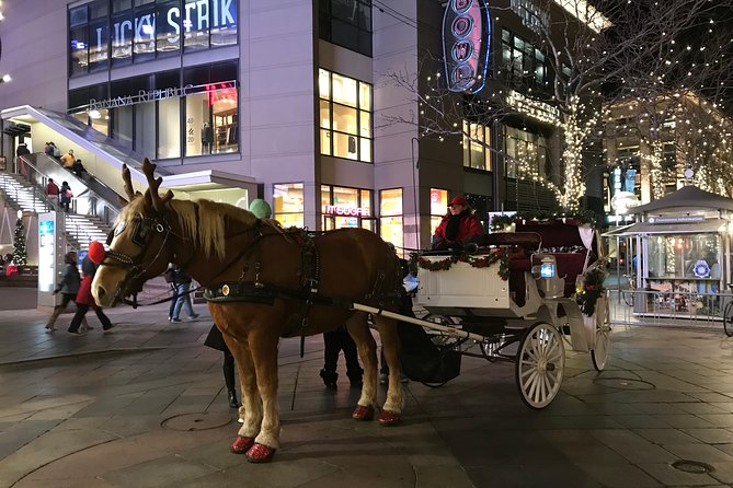 Holiday Lights & History Walking Tour - Cancellation Policy