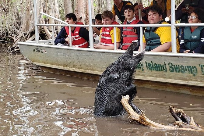 Honey Island Swamp Private Tour With Transport From New Orleans - Cancellation Policy
