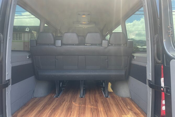 Honolulu Harbor Cruise Terminal Transfer by Luxury Vehicle - Accessibility and Accommodations
