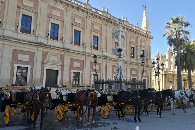 Horse-Drawn Carriage Private Ride Through Seville - Meeting Point and Return Location