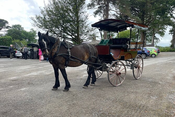 Horse-Drawn Carriage Tours in Killarney - Scenic Views and Wildlife