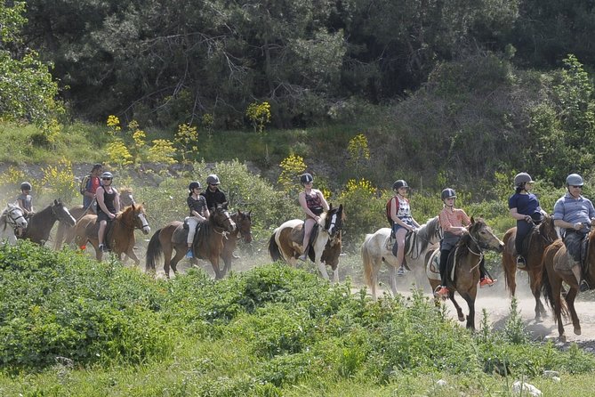 Horse Riding in Kusadasi - Cancellation and Refund Policy