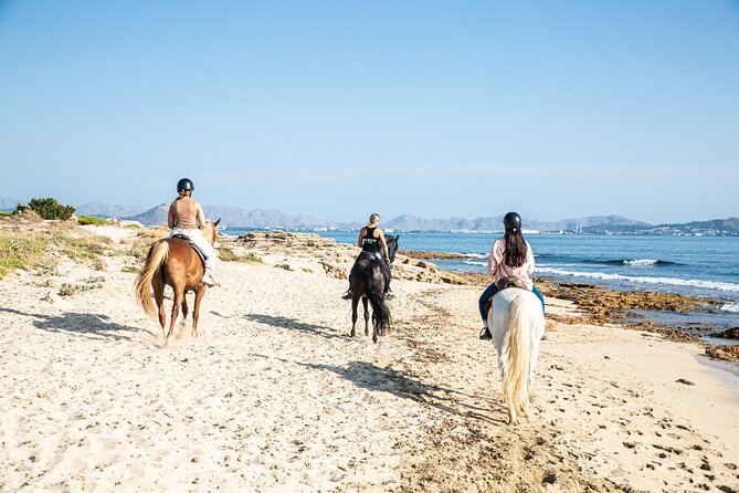 Horse Riding in Mallorca - Safety and Health Considerations
