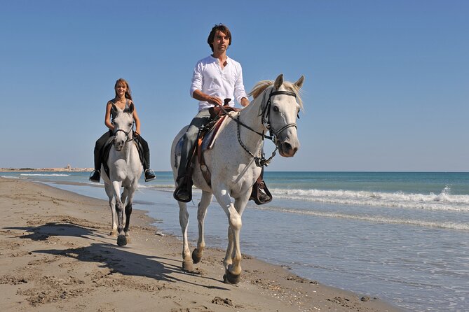 Horse Riding on the Beach in Side - Traveler Reviews and Ratings
