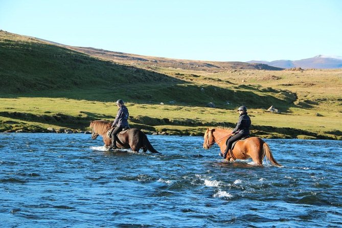 Horse Riding Tour to the Glacier River Delta With Waterfall - Guides Insights and Support