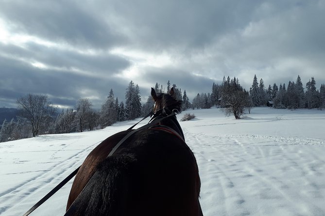 Horse Sleigh Ride in the Countyside and Thermal Pools in One Day, Private Tour - Booking Policies