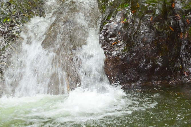 Horseback Riding and Natural Swimming Pools / Jacó Beach - Booking and Cancellation Details
