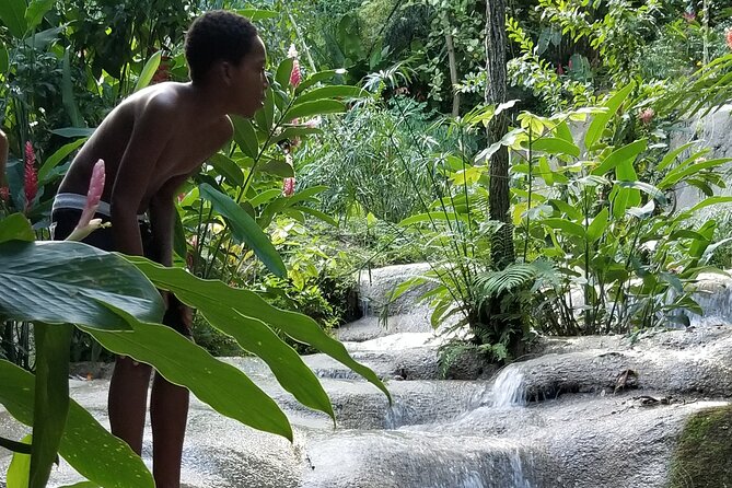 Horseback Riding , Blue Hole and Lunch From Ocho Rios - Inclusions and Pickups