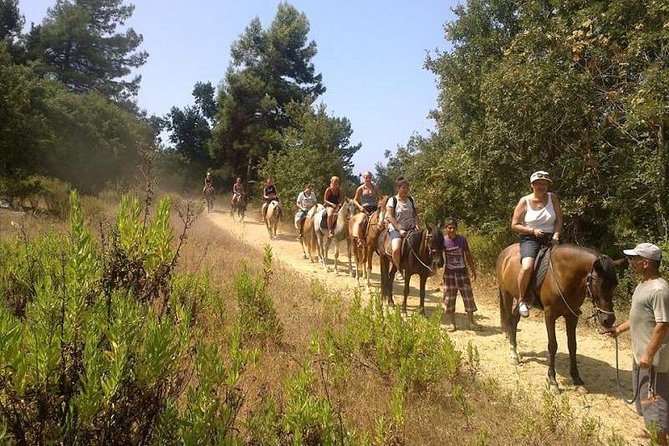 Horseback Riding From Kusadasi Port / Hotels - Reviews and Feedback