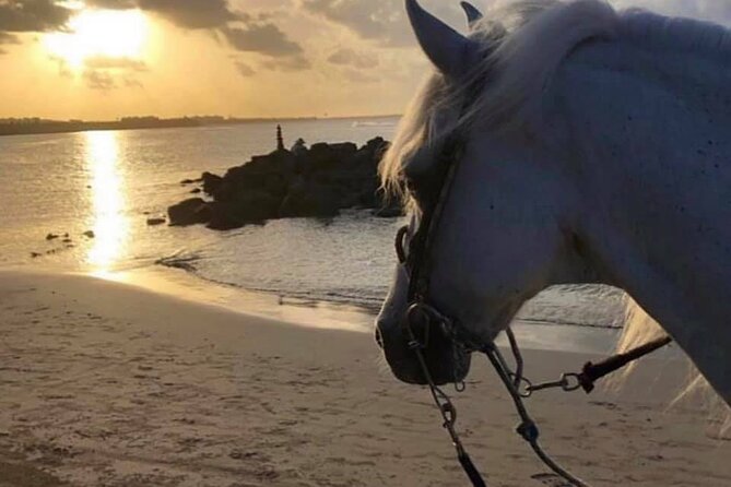 Horseback Riding in Sayulita Through Jungle Trails to the Beach - Personalized Tour Experience