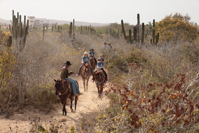 Horseback Riding Tour in Cabo San Lucas - Animal and Multilingual Support