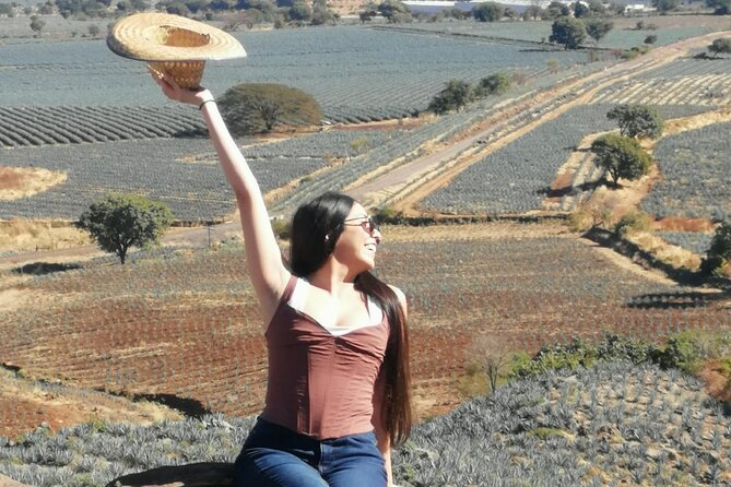 Horseback Riding Tour in the Agave Field With Lunch - Tequila Distillery Visit