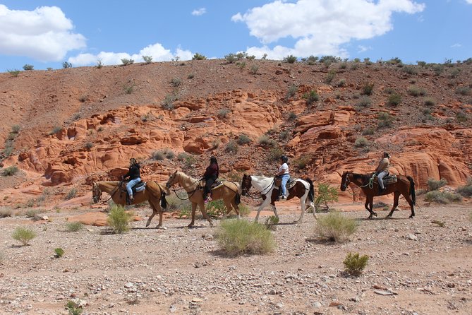 Horseback Riding With BBQ Lunch in Las Vegas - Guest Reviews and Feedback