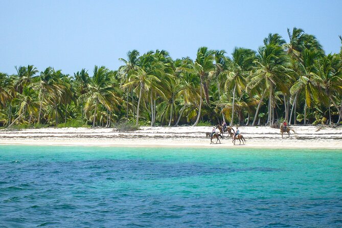 Horseback Riding With Lunch - Booking and Cancellation Policies