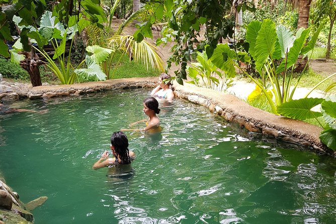 Horses and Hot Springs - Customer Feedback and Reviews