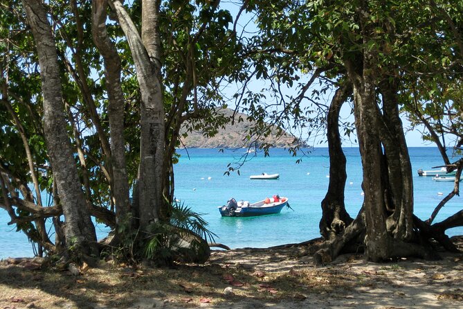 Hull Bay Farm & Beach Experience With Lunch - Booking and Availability Information