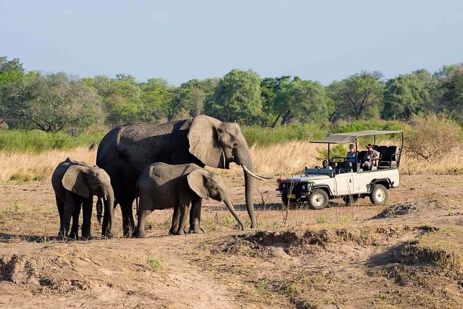 Hwange Day Trip - Reviews and Ratings