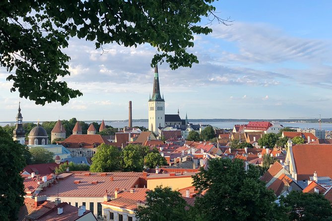 Iconic Old Town Tallinn Tour Review - Negative Feedback and Issues