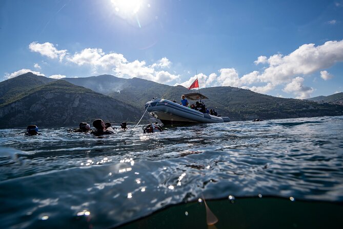 Immersion in Banco Santa Croce From Sorrento With Expert Guide - Expertise of the Guide