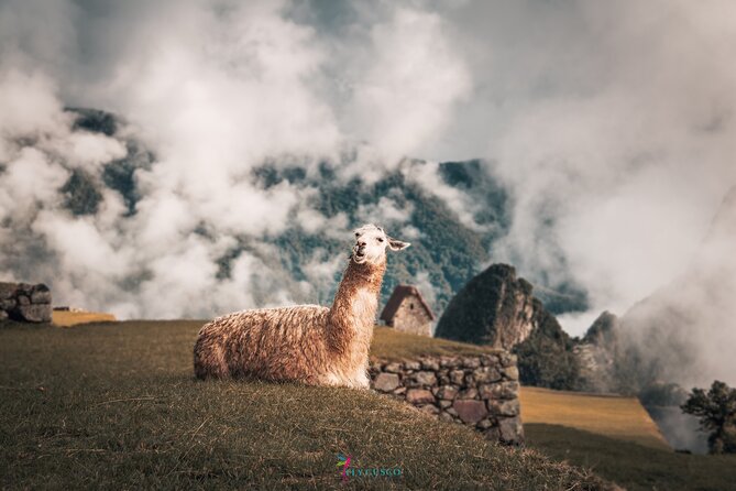 Inca Trail: 2-Day Machu Picchu and Waynapicchu Optional - Machu Picchu Highlights