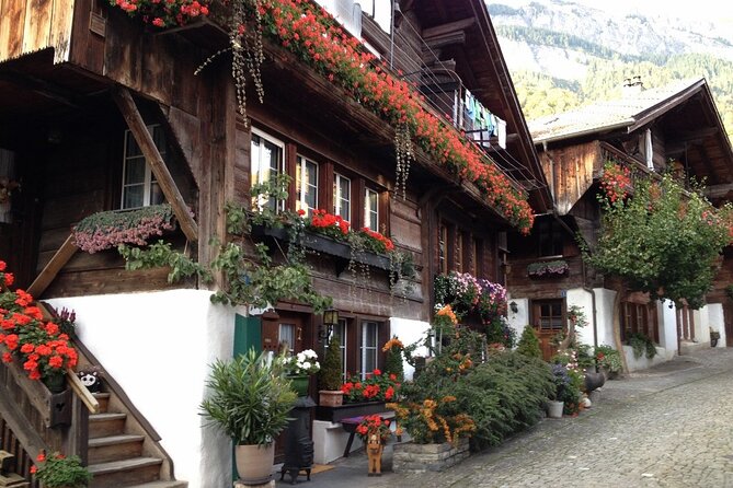 Interlaken Sightseeing: Lauterbrunnen, Brienz, Interlaken - Accessibility Features