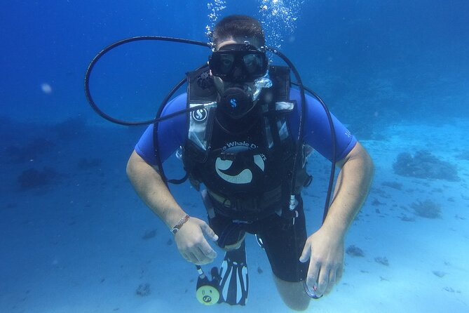 Intro Diving for Beginners in Hurghada With Pick-Up and Lunch - Authentic Diving Experience Reviews