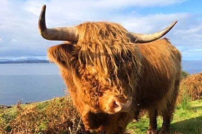 Invergordon Cruise Ship Tour Dunrobin Castle, Dornoch, Distillery - Local Attractions and Activities