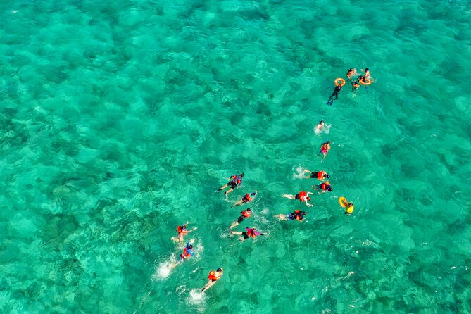 Isla Mujeres Island and Snorkeling Tour - Feedback and Reviews
