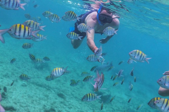 Isla Mujeres Luxury Catamaran Sailing Plus Lunch and Open Bar - Isla Mujeres Visit