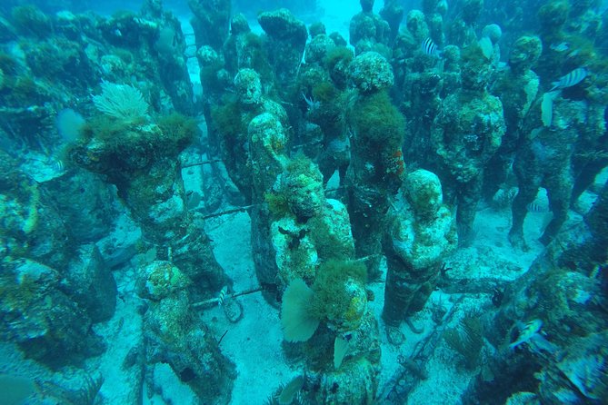Isla Mujeres Snorkeling Tour Adventure - Customer Reviews and Experiences