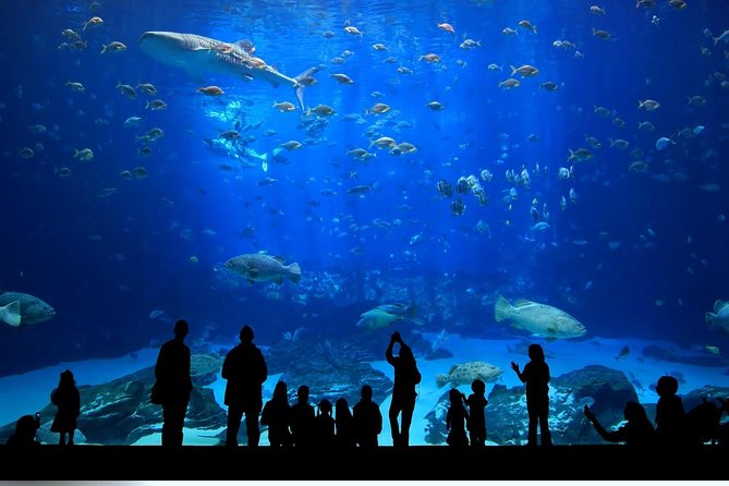 Istanbul Aquarium and Aqua Florya Independent Shopping Trip - Aqua Florya Shopping Mall