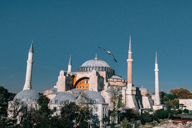 Istanbul Shore Excursion by TRAM: Half Day Private Tour From Port - Exploring Istanbuls Highlights