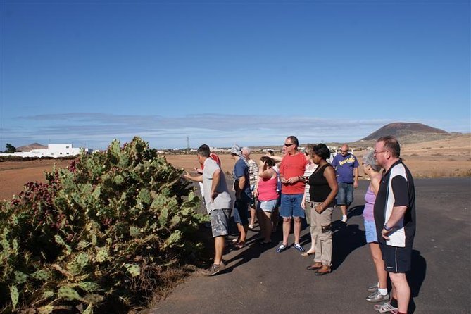 Jeep Tour to Cotillo and Northern Area of Fuerteventura - Tips for a Great Experience