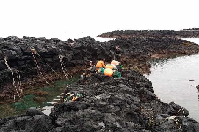 Jeju Island Eastern UNESCO Site Full Day Guided Tour - Traveler Testimonials