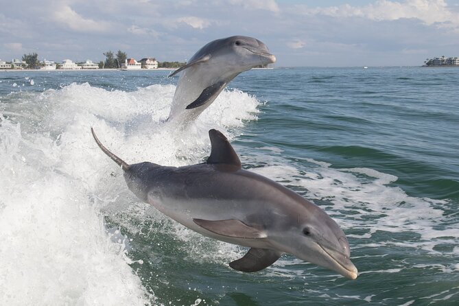 Jet Ski Rental From Fort Myers Beach to Sanibel - Tips for an Enjoyable Ride