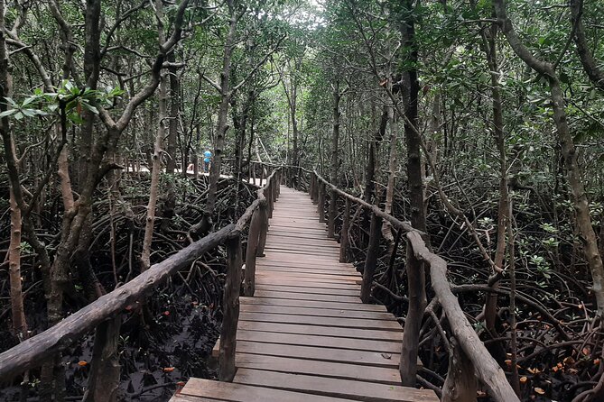 Jozani Forest, Kuza Cave, Paje Beach and The Rock Restaurant - Dining at The Rock Restaurant