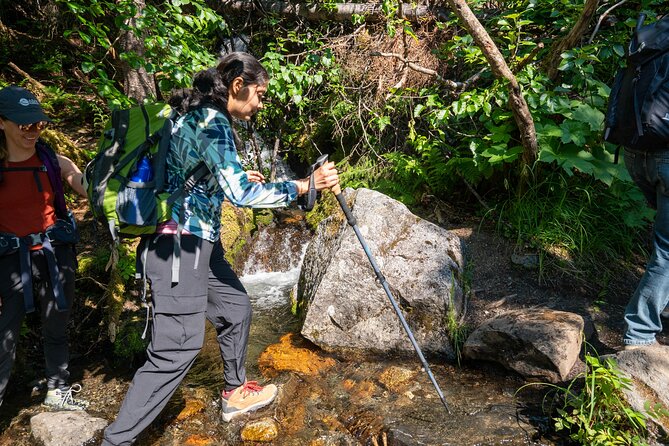 Juneau Shore Excursion: Private Mendenhall Glacier Guided Hike - Frequently Asked Questions
