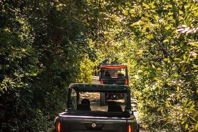 Jungle Buggy Day Tour - Booking Information