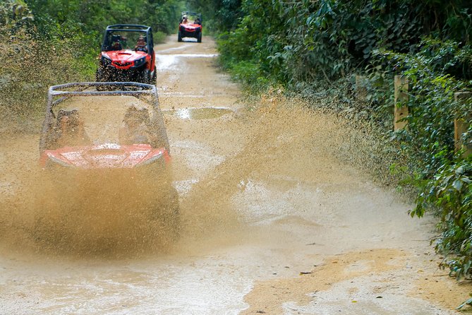 Jungle Buggy Tour From Playa Del Carmen Including Cenote Swim - Journey Through Riviera Maya
