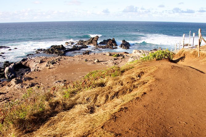 Kahului Shore Excursion: Private Tropics of Maui & Rainforest - Customer Feedback and Reviews