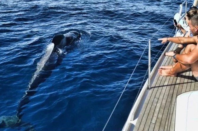 Kailani All Inclusive Private Charter - Booking Information