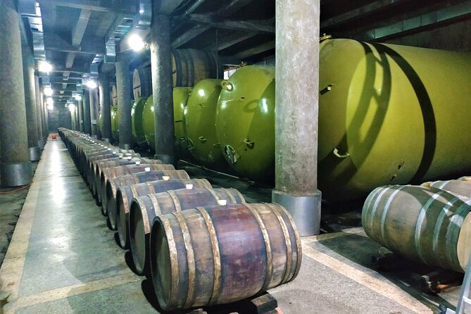 Kakheti Wine Tour With 20+ Wine Tastings & Qvevri Masterclass - Exceptional Service and Satisfied Customers
