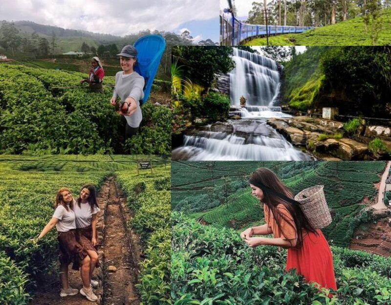 Kandy To Nuwara Eliya Day Tour By Tuk Tuk Sri Lanka - Contact Information